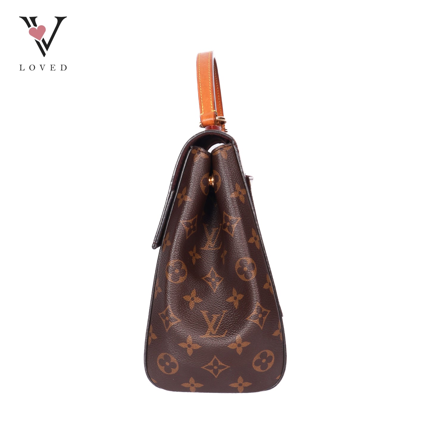 Monogram Canvas Cluny Bag