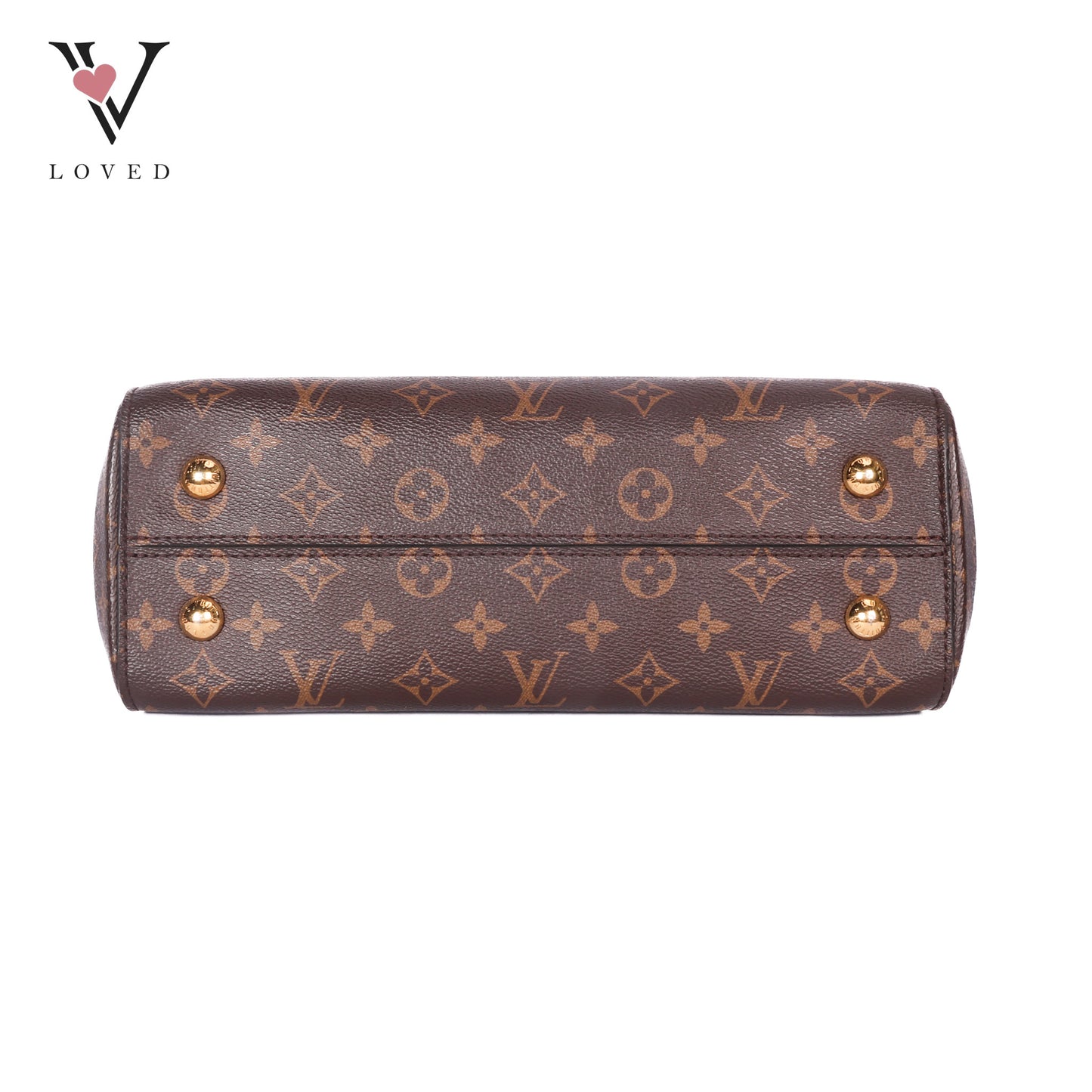 Monogram Canvas Cluny Bag