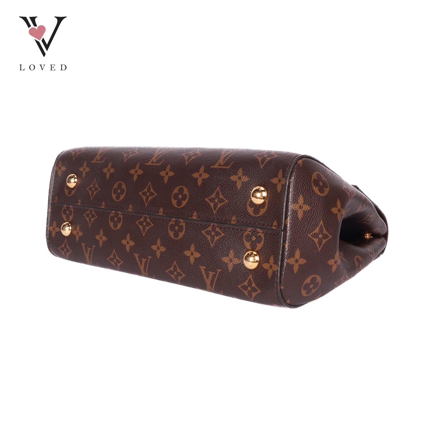 Monogram Canvas Cluny Bag