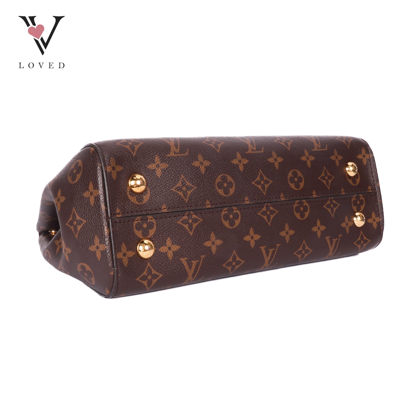 Monogram Canvas Cluny Bag