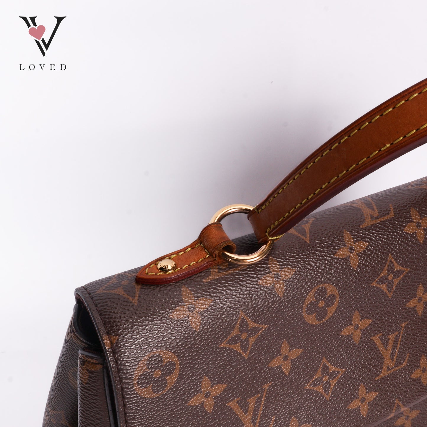 Monogram Canvas Cluny Bag