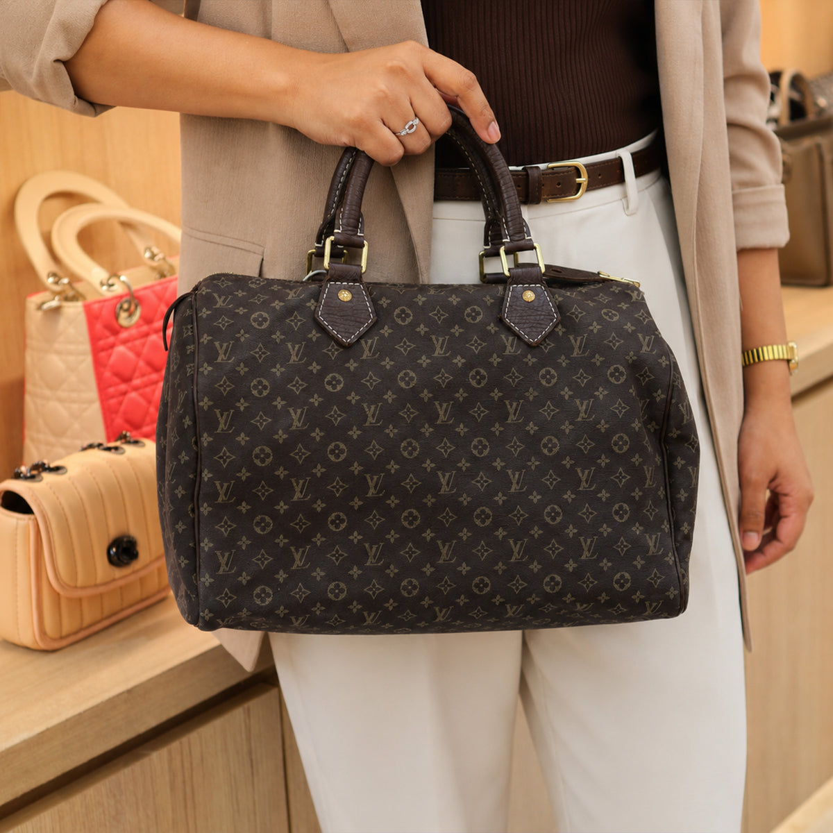 Louis Vuitton Monogram Mini Lin Canvas Speedy 30 Handbag