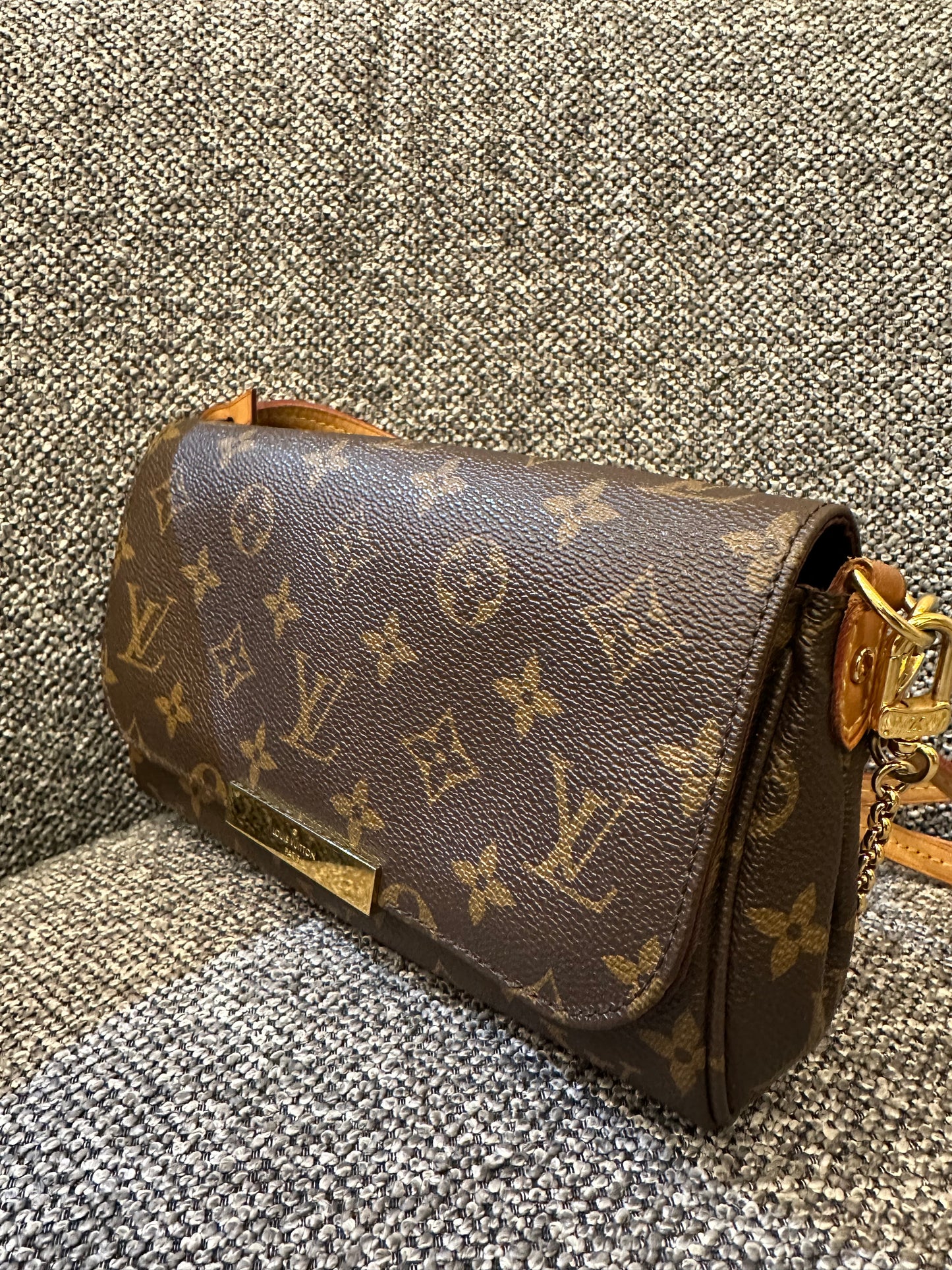 Louis Vuitton Favorite PM in Monogram Canvas