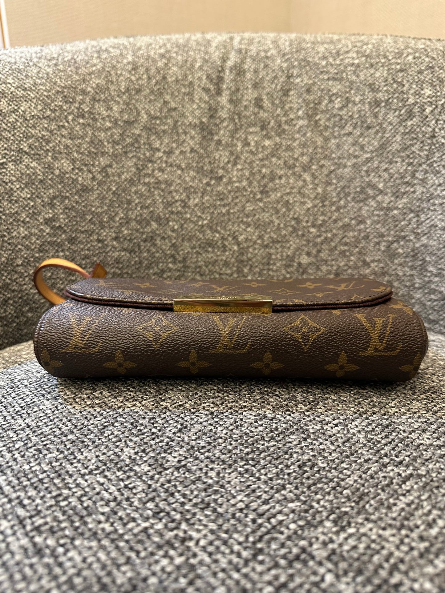 Louis Vuitton Favorite PM in Monogram Canvas