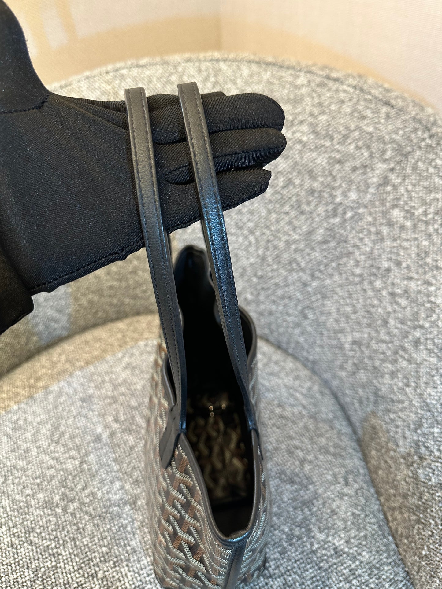 Goyard Anjou Mini Tote Bag