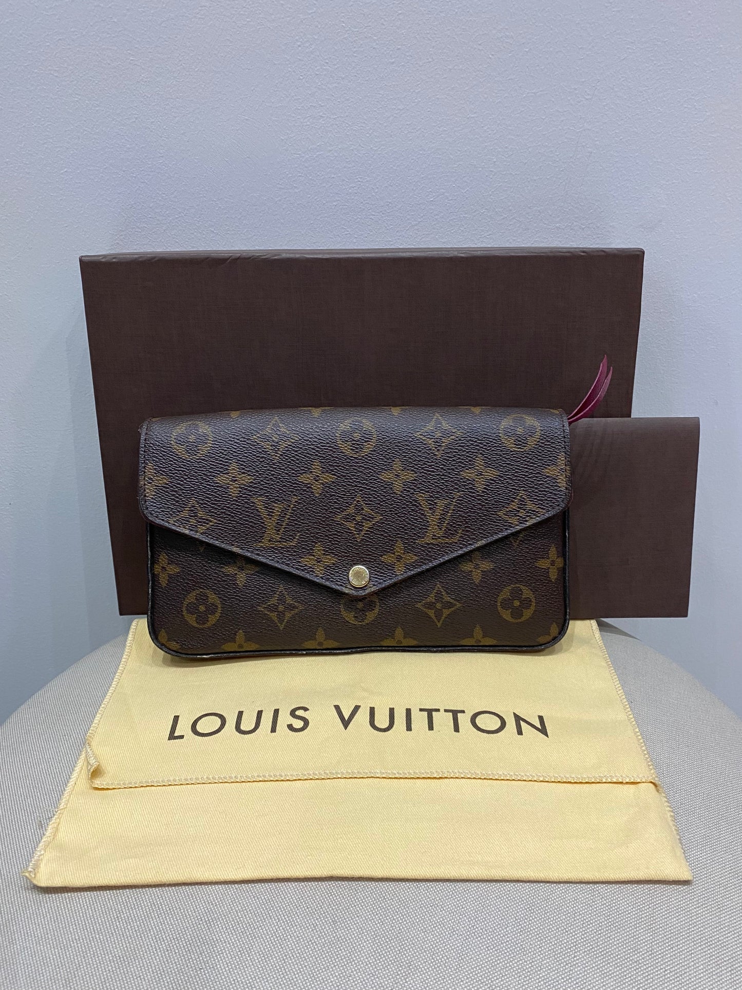 Louis Vuitton Pochette Felicie in Monogram Canvas