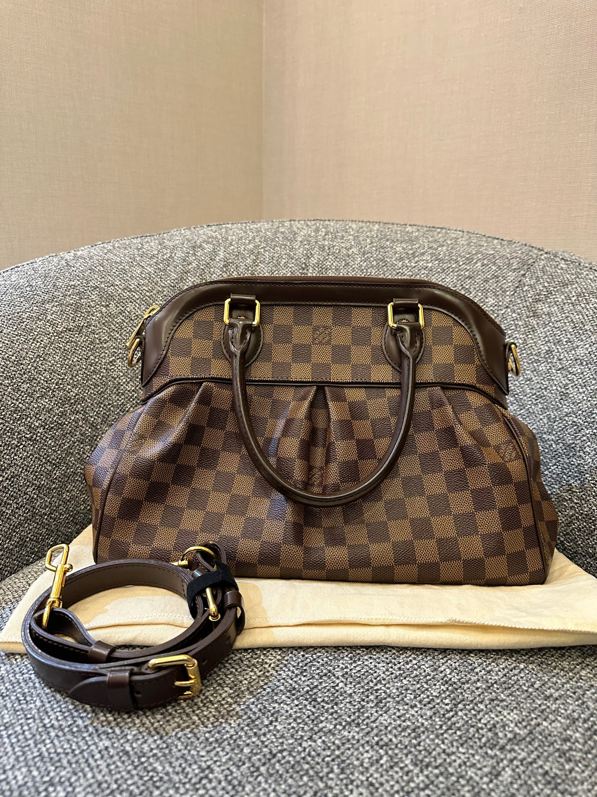 Louis Vuitton Trevi PM Handbag in Damier Ebene