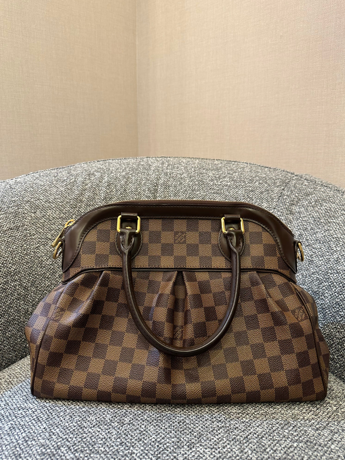Louis Vuitton Trevi PM Handbag in Damier Ebene