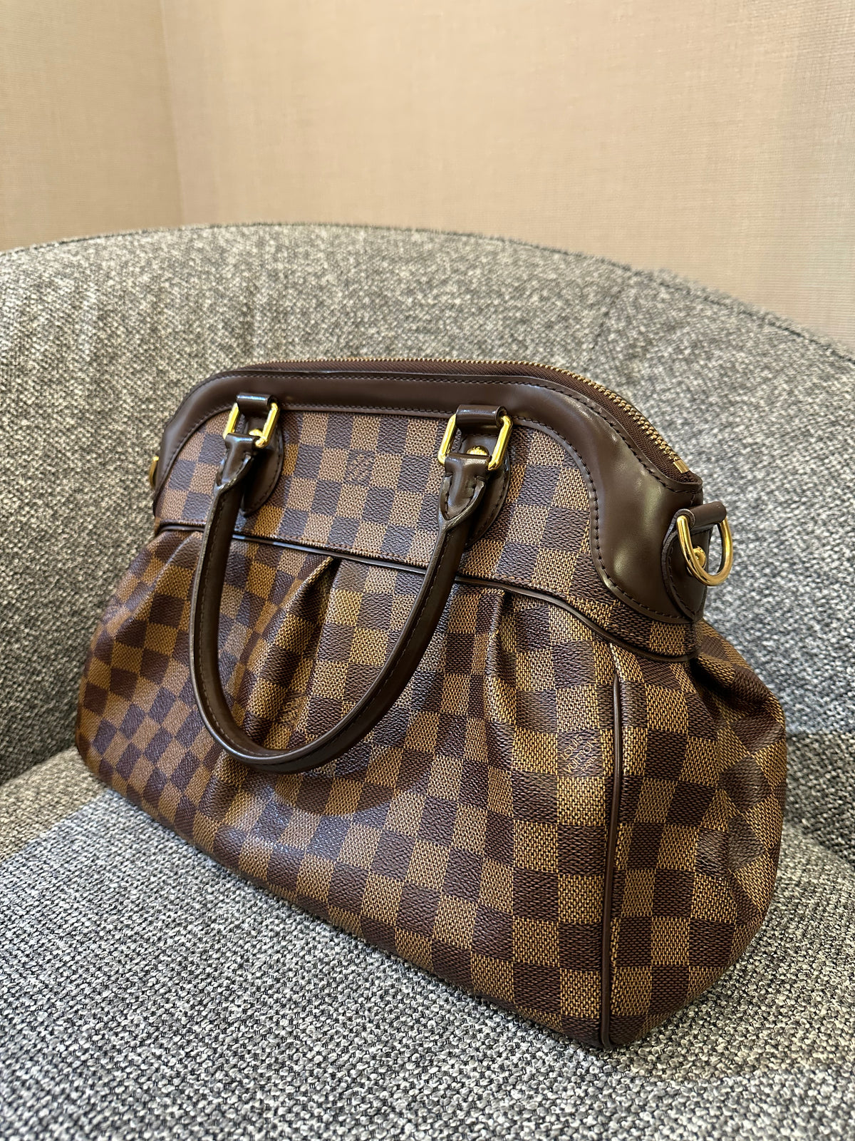 Louis Vuitton Trevi PM Handbag in Damier Ebene