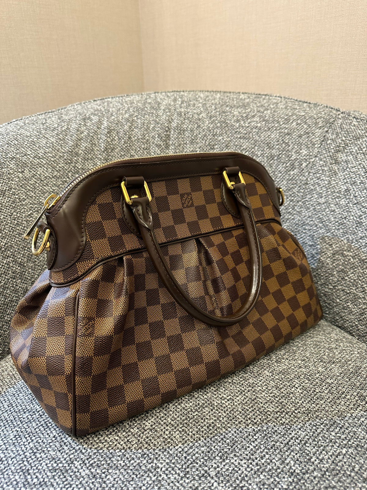 Louis Vuitton Trevi PM Handbag in Damier Ebene