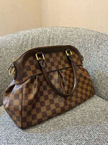Louis Vuitton Trevi PM Handbag in Damier Ebene