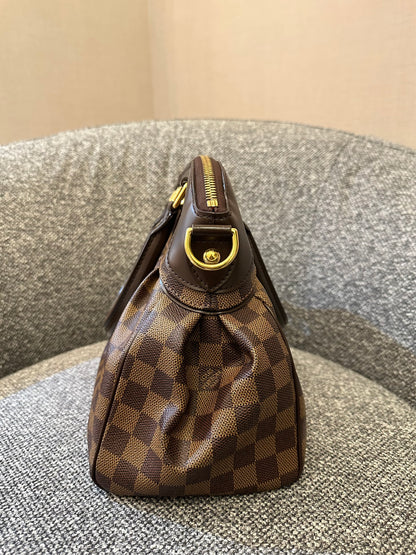 Louis Vuitton Trevi PM Handbag in Damier Ebene