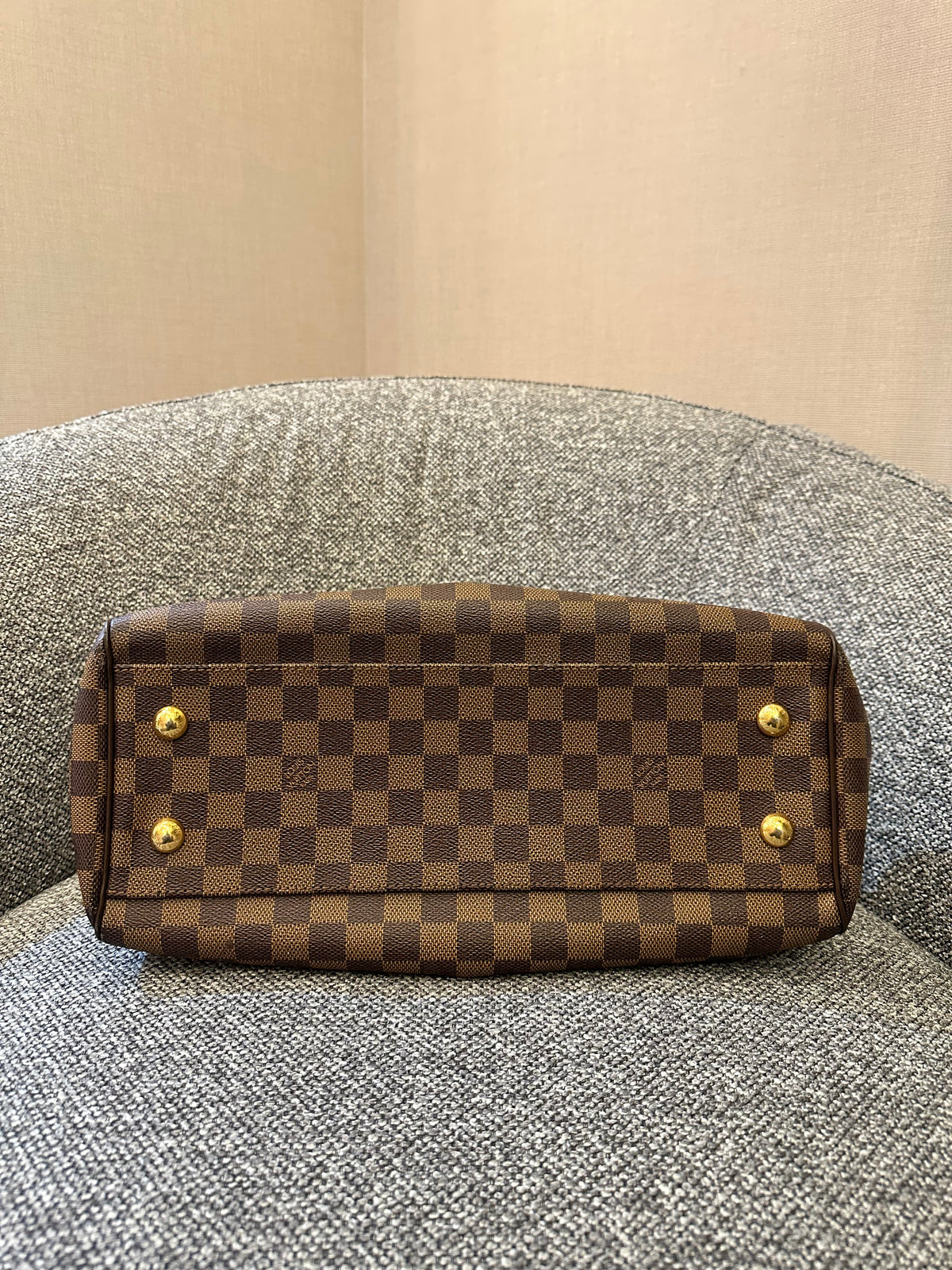 Louis Vuitton Trevi PM Handbag in Damier Ebene