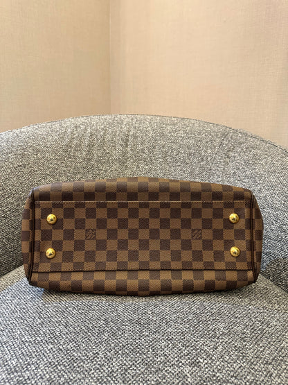 Louis Vuitton Trevi PM Handbag in Damier Ebene