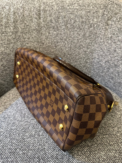 Louis Vuitton Trevi PM Handbag in Damier Ebene