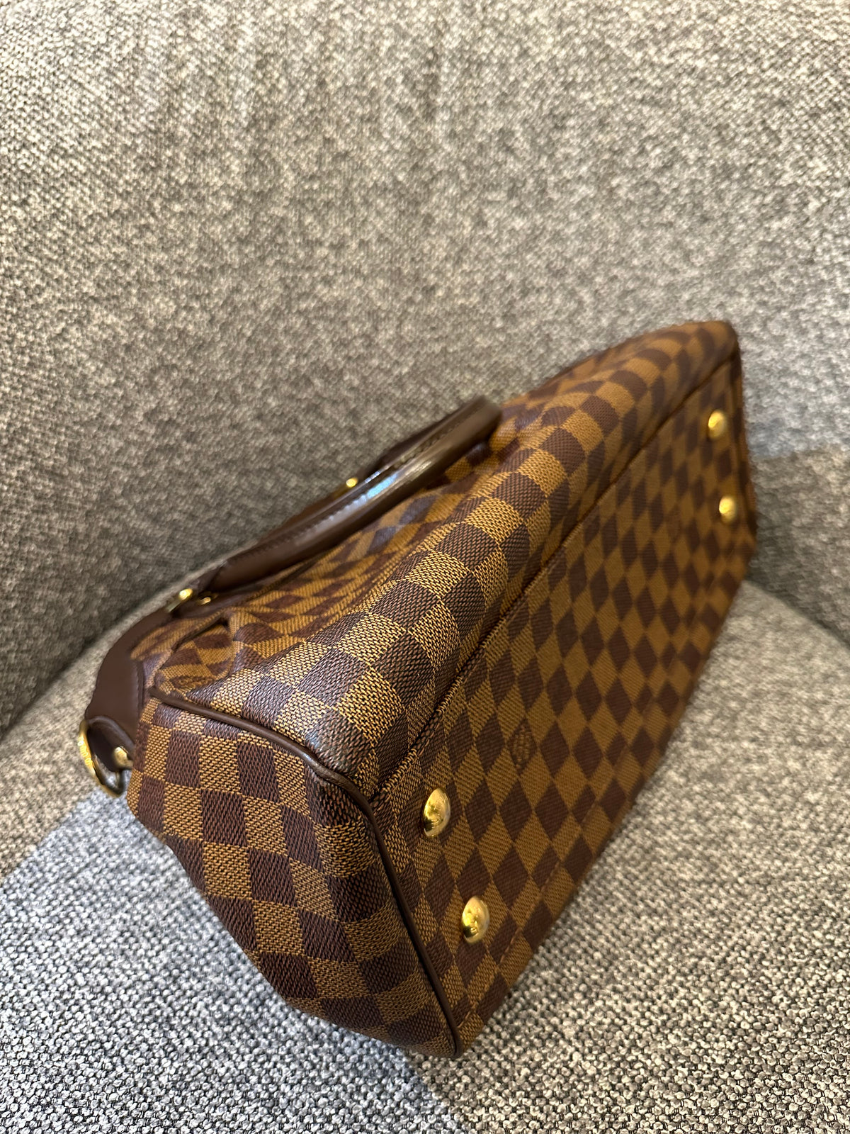 Louis Vuitton Trevi PM Handbag in Damier Ebene
