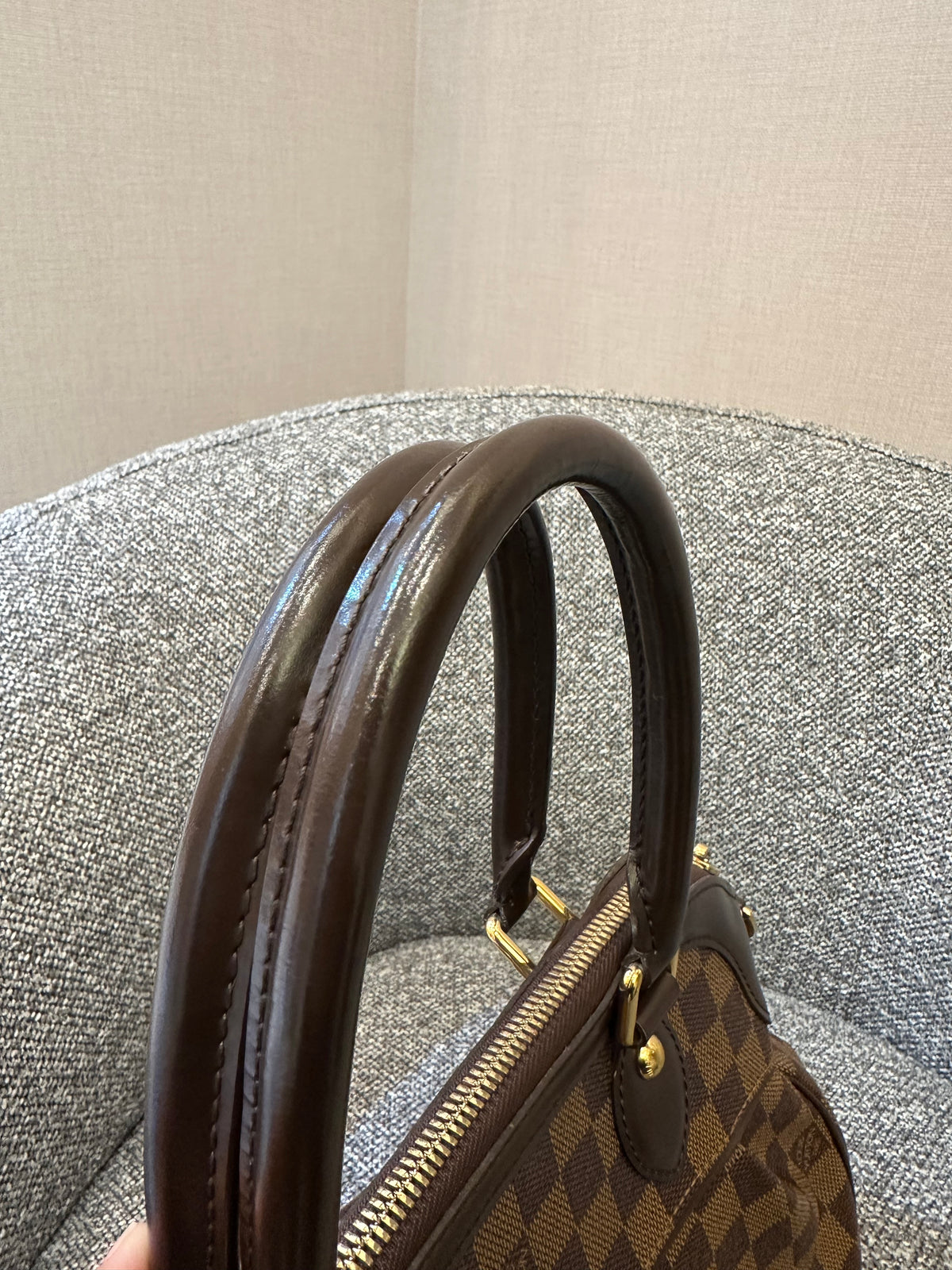 Louis Vuitton Trevi PM Handbag in Damier Ebene
