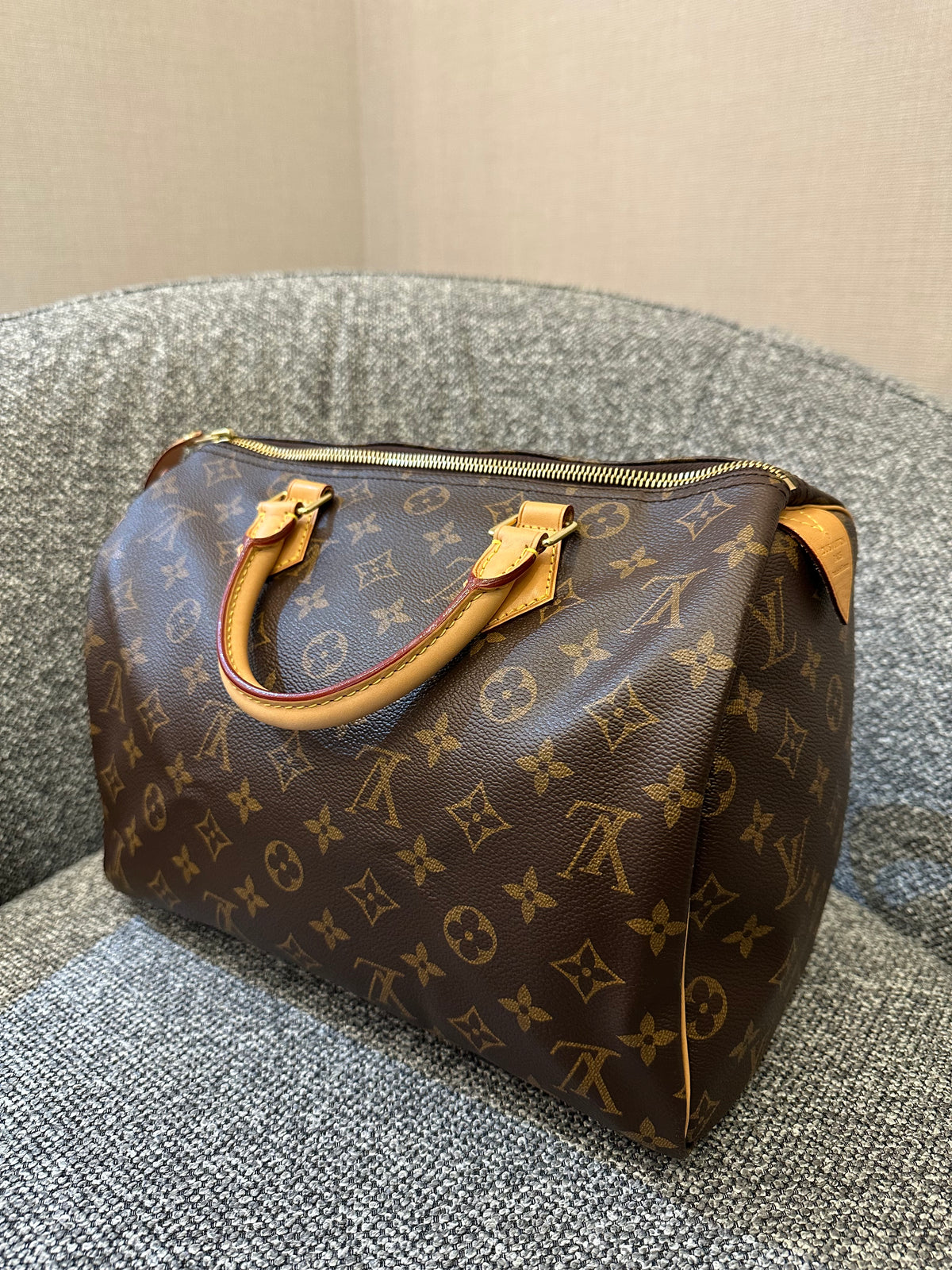 Louis Vuitton Speedy 30 in Monogram Canvas