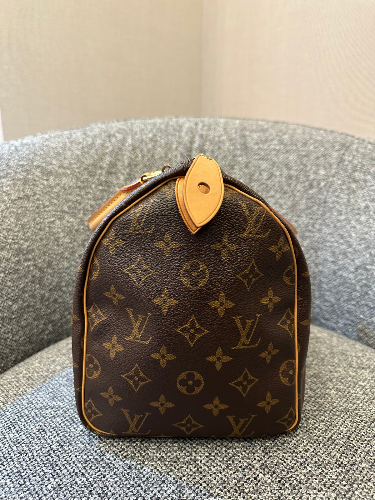 Louis Vuitton Speedy 30 in Monogram Canvas