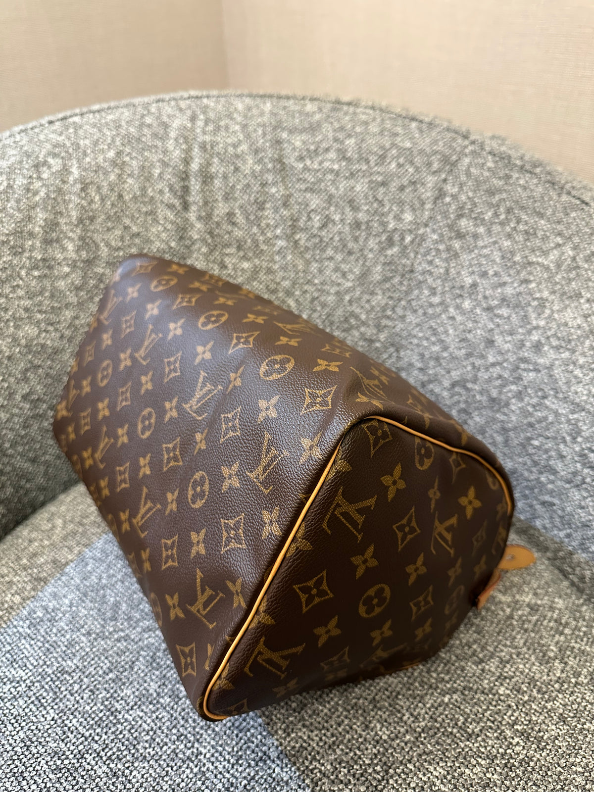 Louis Vuitton Speedy 30 in Monogram Canvas