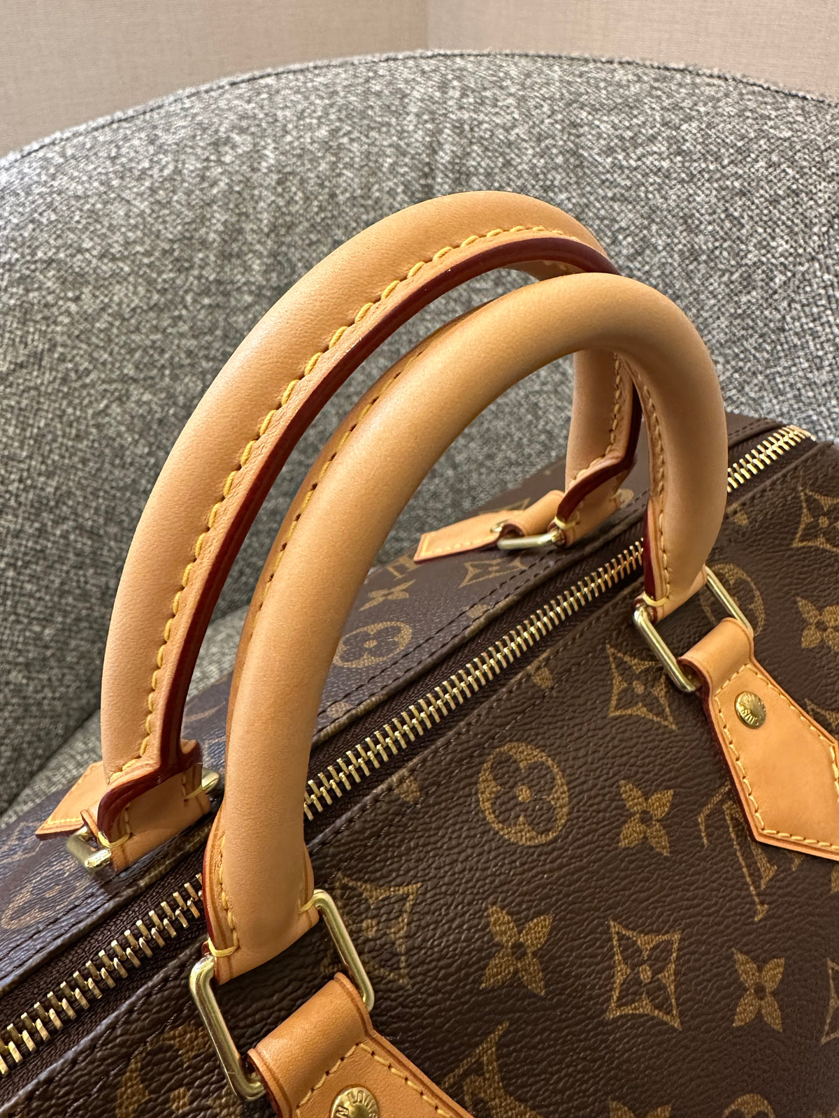 Louis Vuitton Speedy 30 in Monogram Canvas