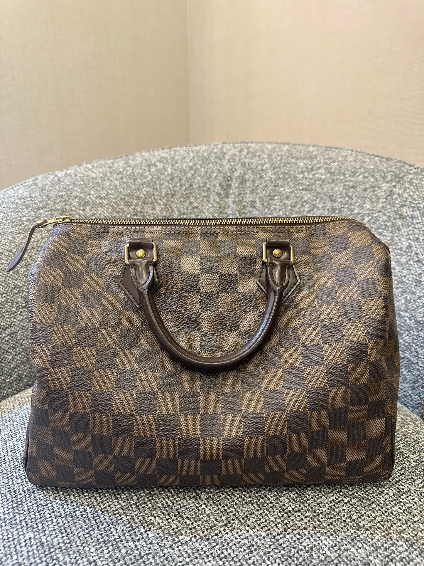 Louis Vuitton Speedy 30 in Damier Ebene