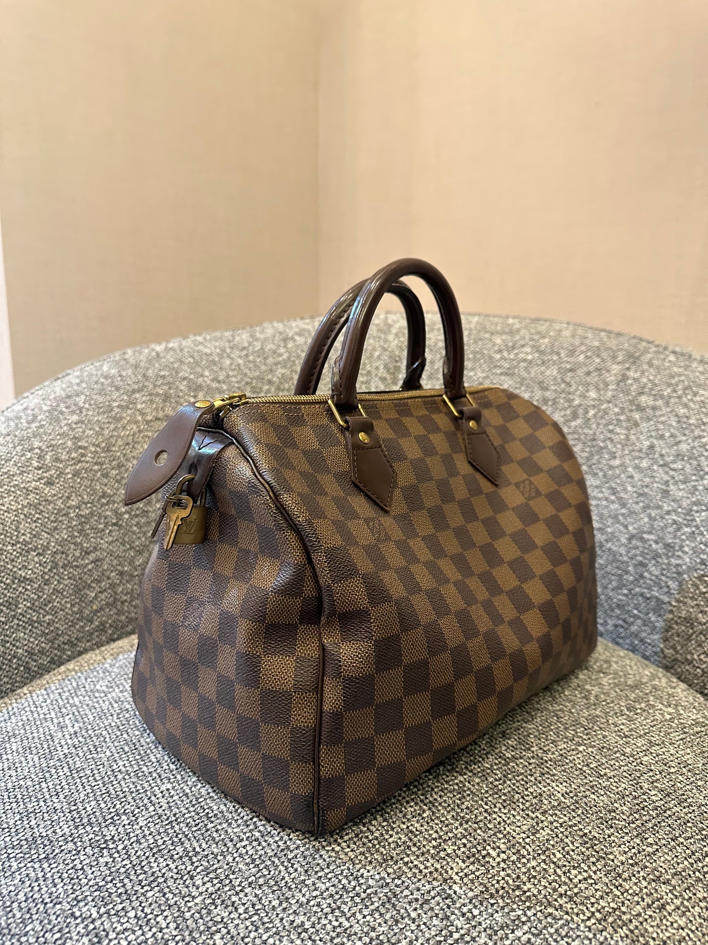 Louis Vuitton Speedy 30 in Damier Ebene