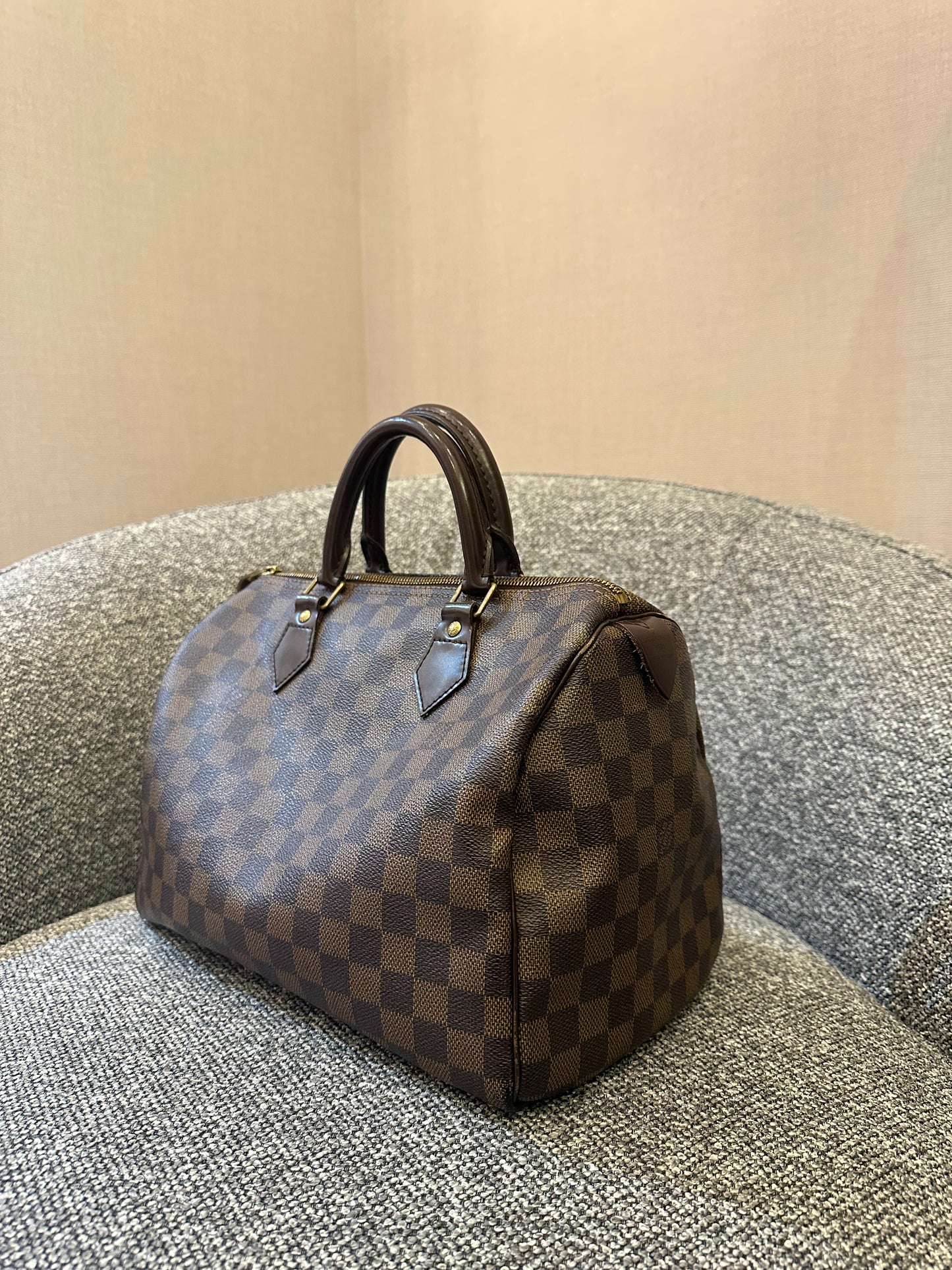 Louis Vuitton Speedy 30 in Damier Ebene