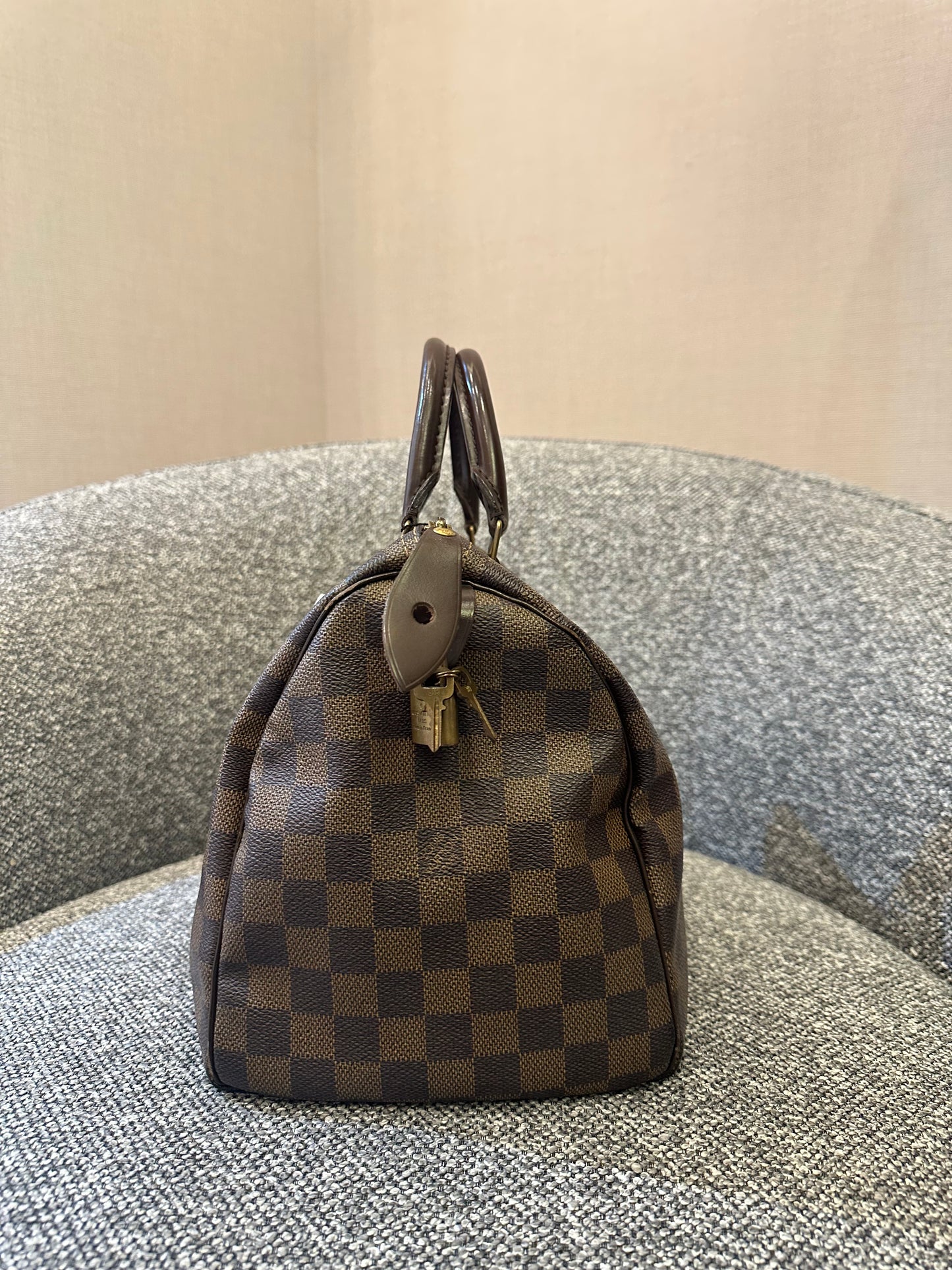 Louis Vuitton Speedy 30 in Damier Ebene