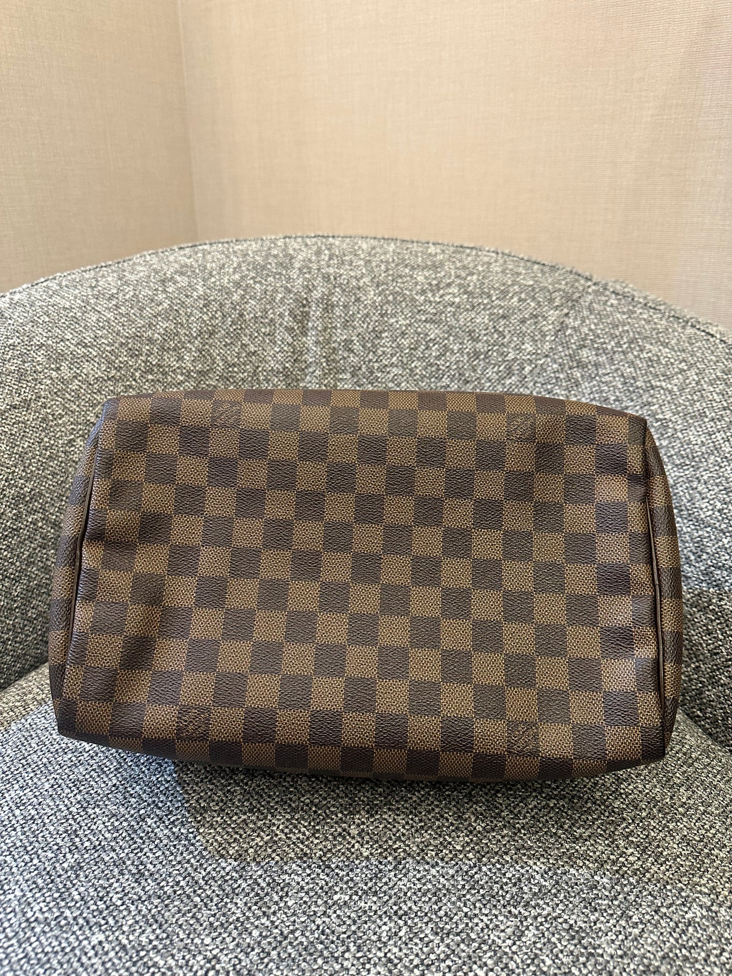 Louis Vuitton Speedy 30 in Damier Ebene