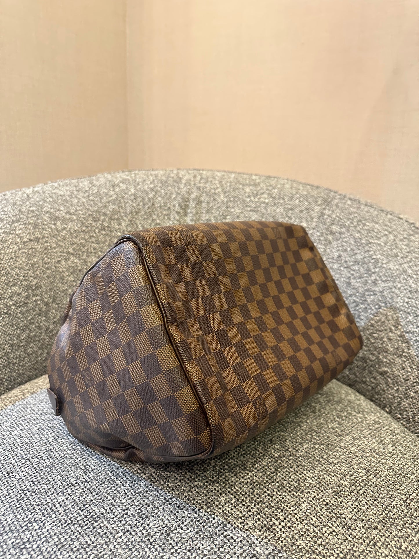 Louis Vuitton Speedy 30 in Damier Ebene