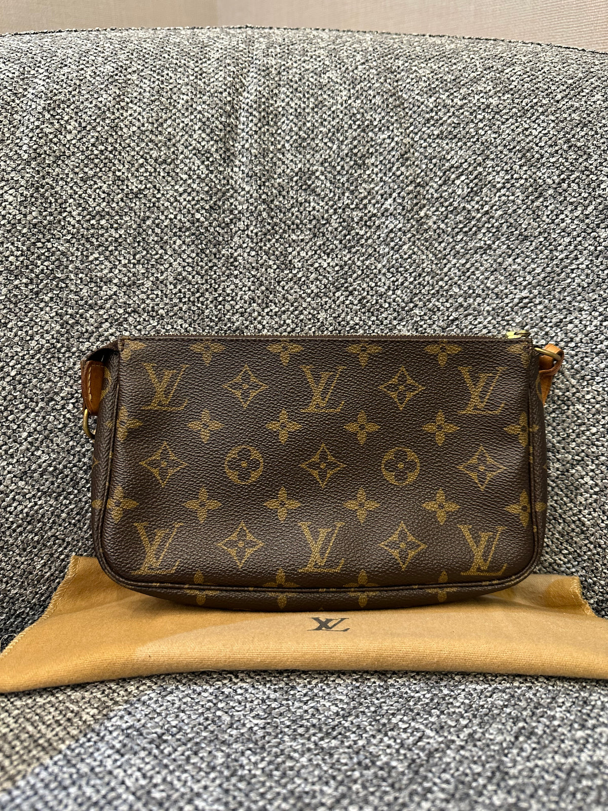 Louis Vuitton Pochette Accessoires in Monogram Canvas