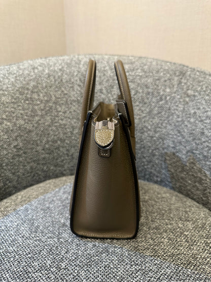Celine Nano Luggage Tote Bag in Taupe