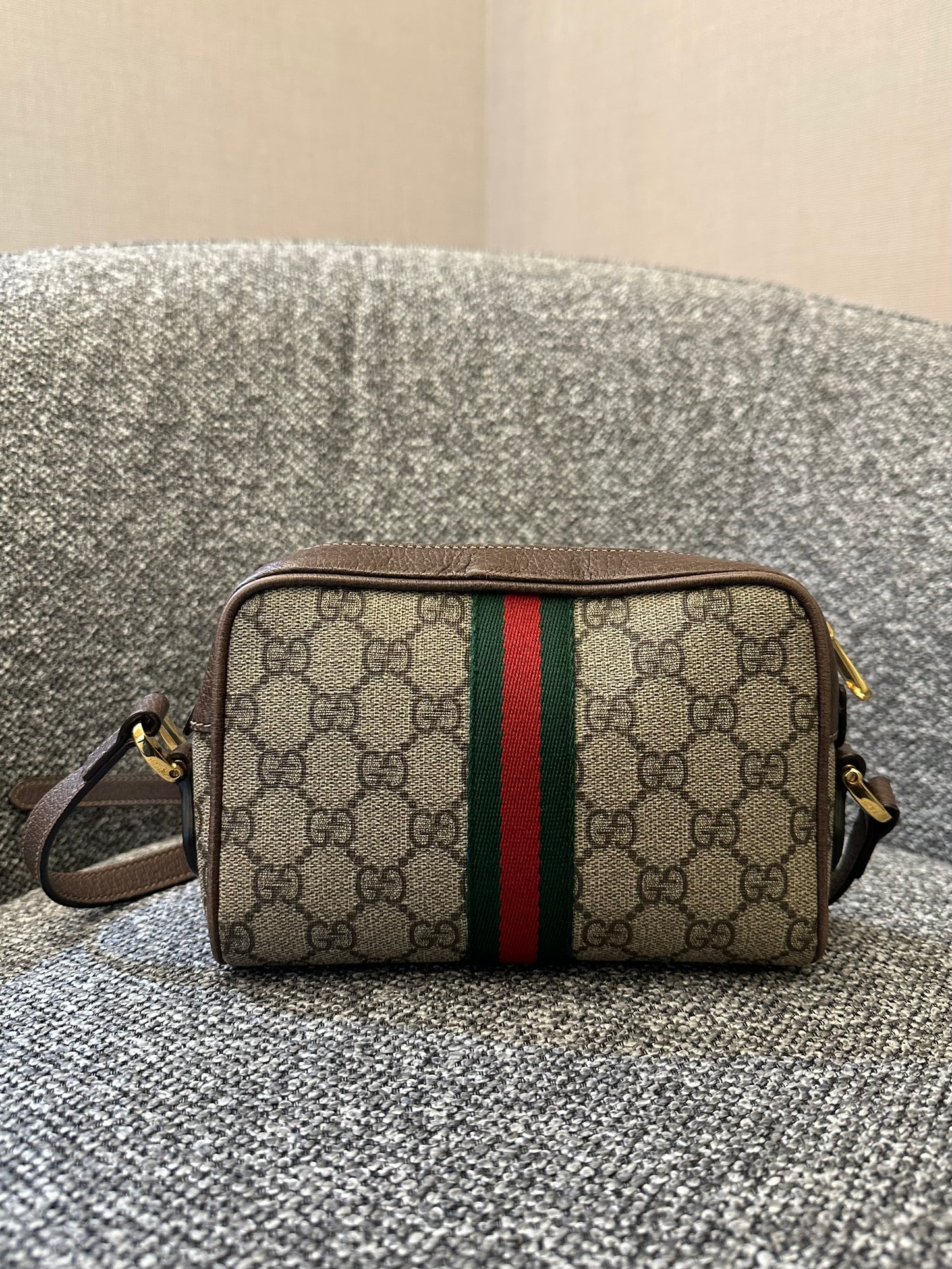 Gucci Ophidia Small Shoulder Bag in GG Supreme Canvas