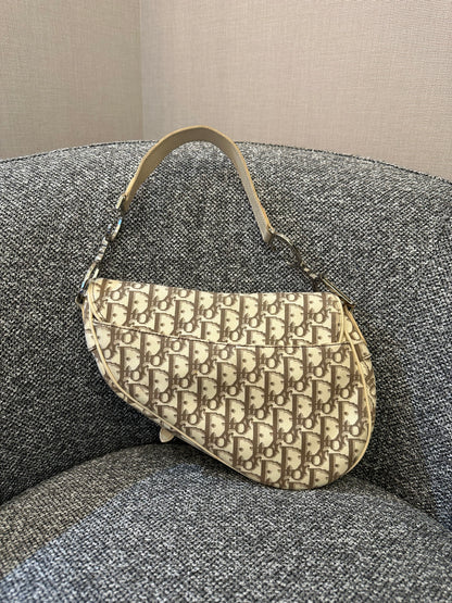 Christian Dior Trotter Saddle Bag in Beige Monogram Canvas with Multicolor Floral Embroidery