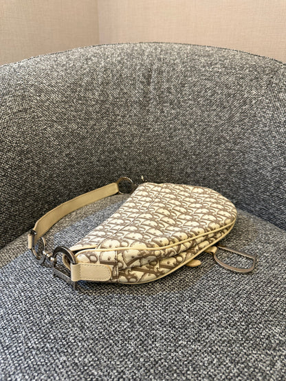 Christian Dior Trotter Saddle Bag in Beige Monogram Canvas with Multicolor Floral Embroidery