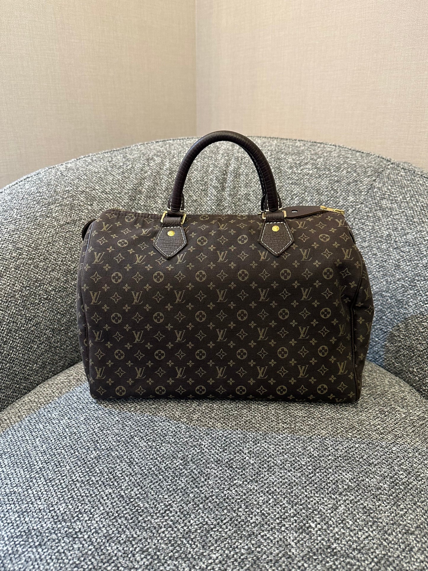 LV Monogram Mini Lin Canvas Speedy 30 Handbag