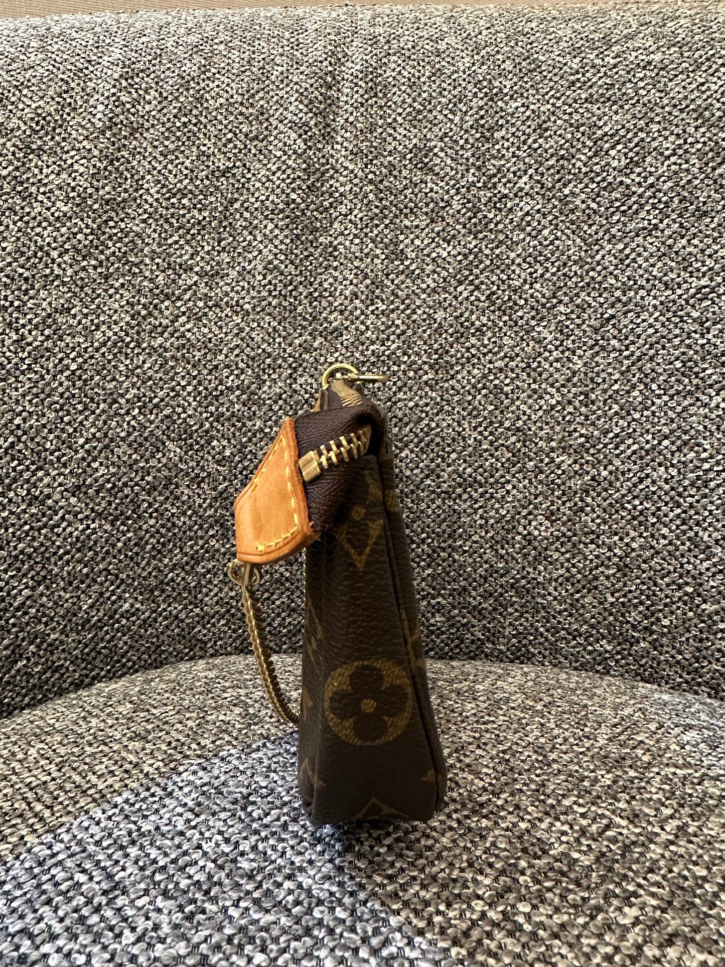 Louis Vuitton Pochette Accessoires in Monogram Canvas