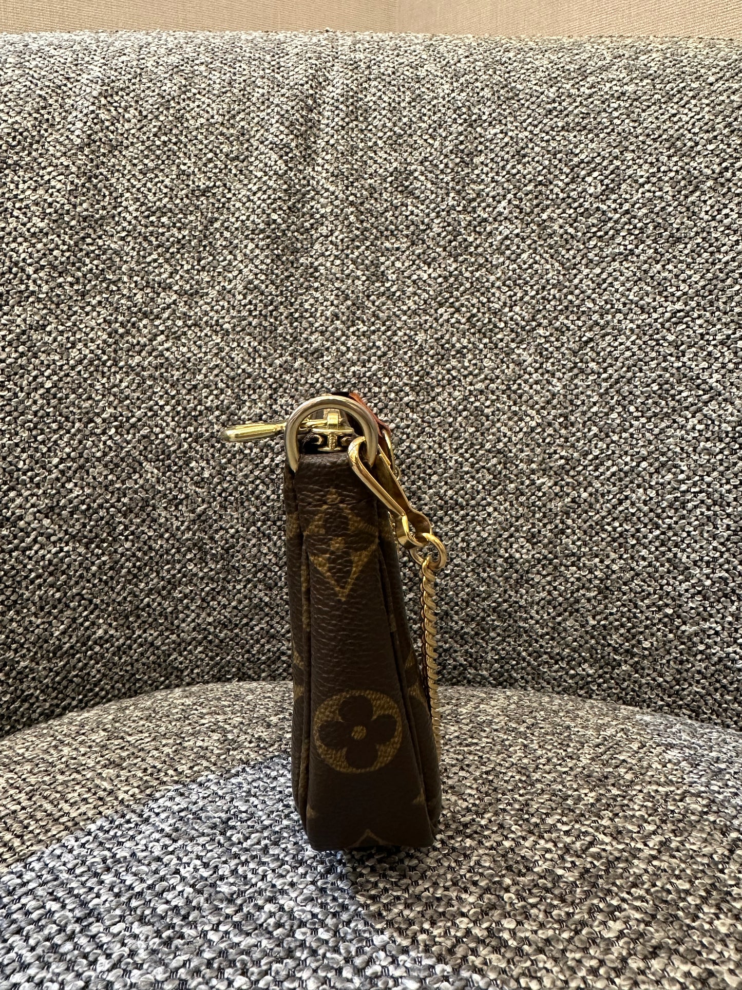 Louis Vuitton Pochette Accessoires in Monogram Canvas