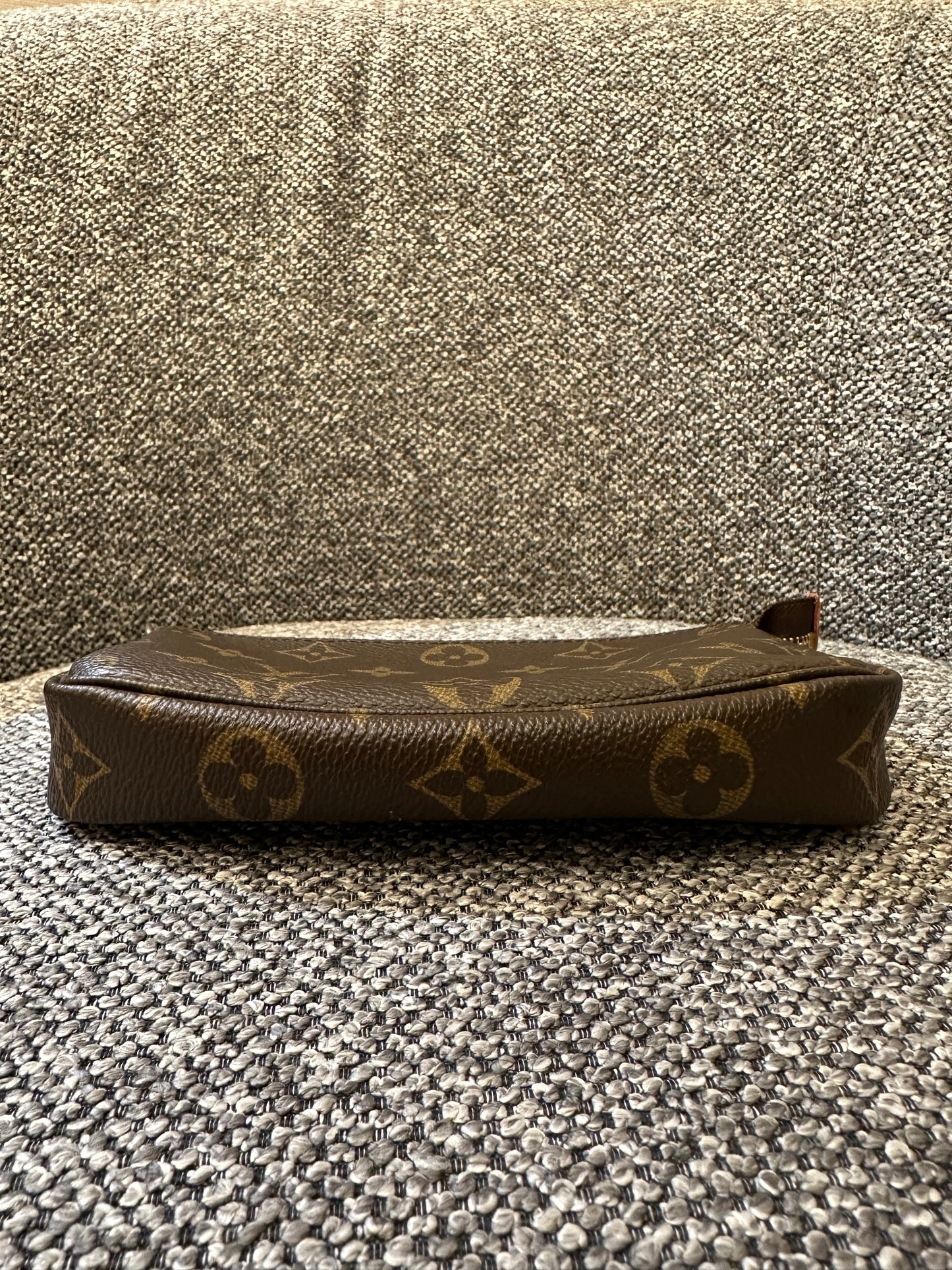 Louis Vuitton Pochette Accessoires in Monogram Canvas