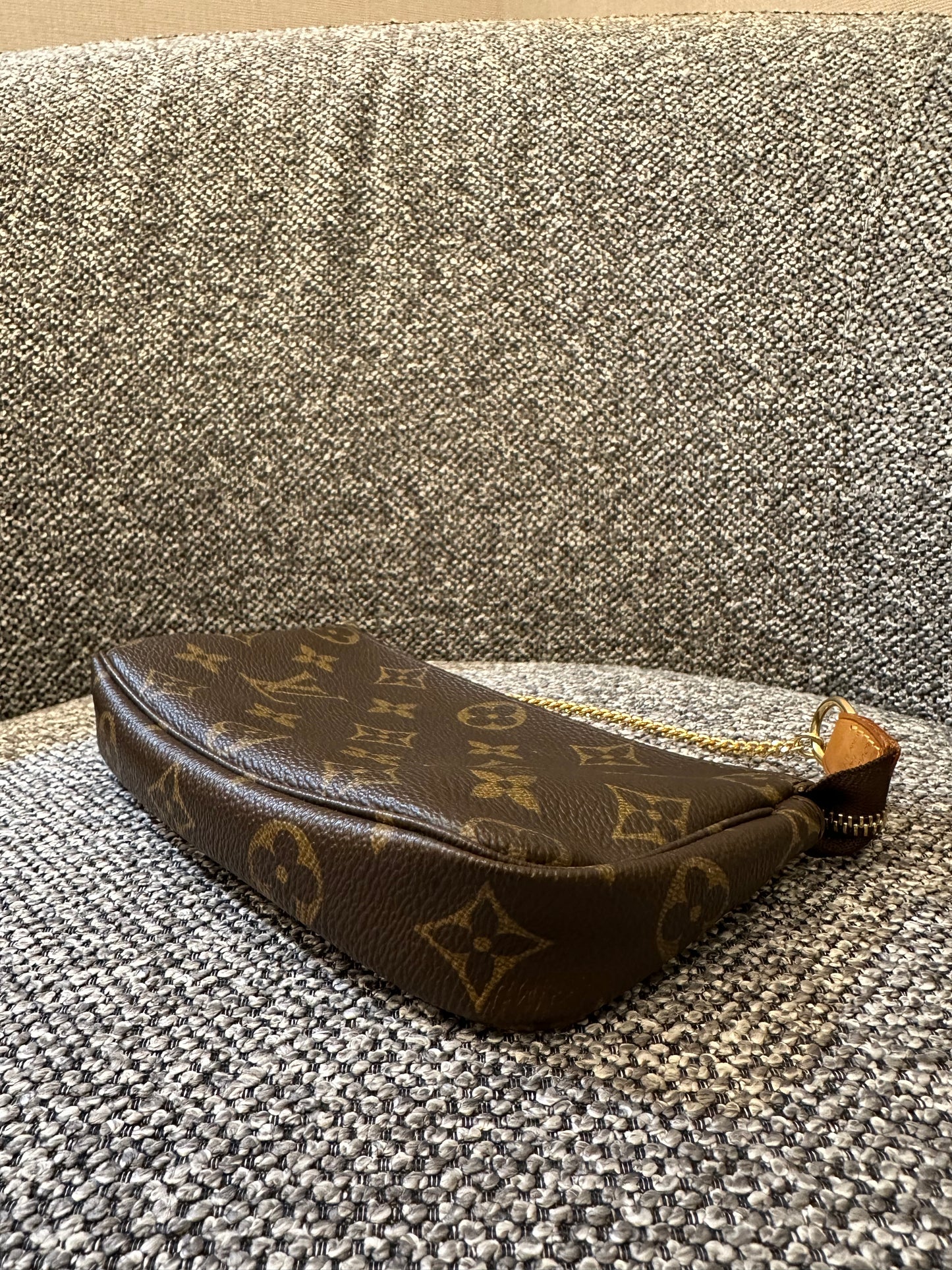 Louis Vuitton Pochette Accessoires in Monogram Canvas