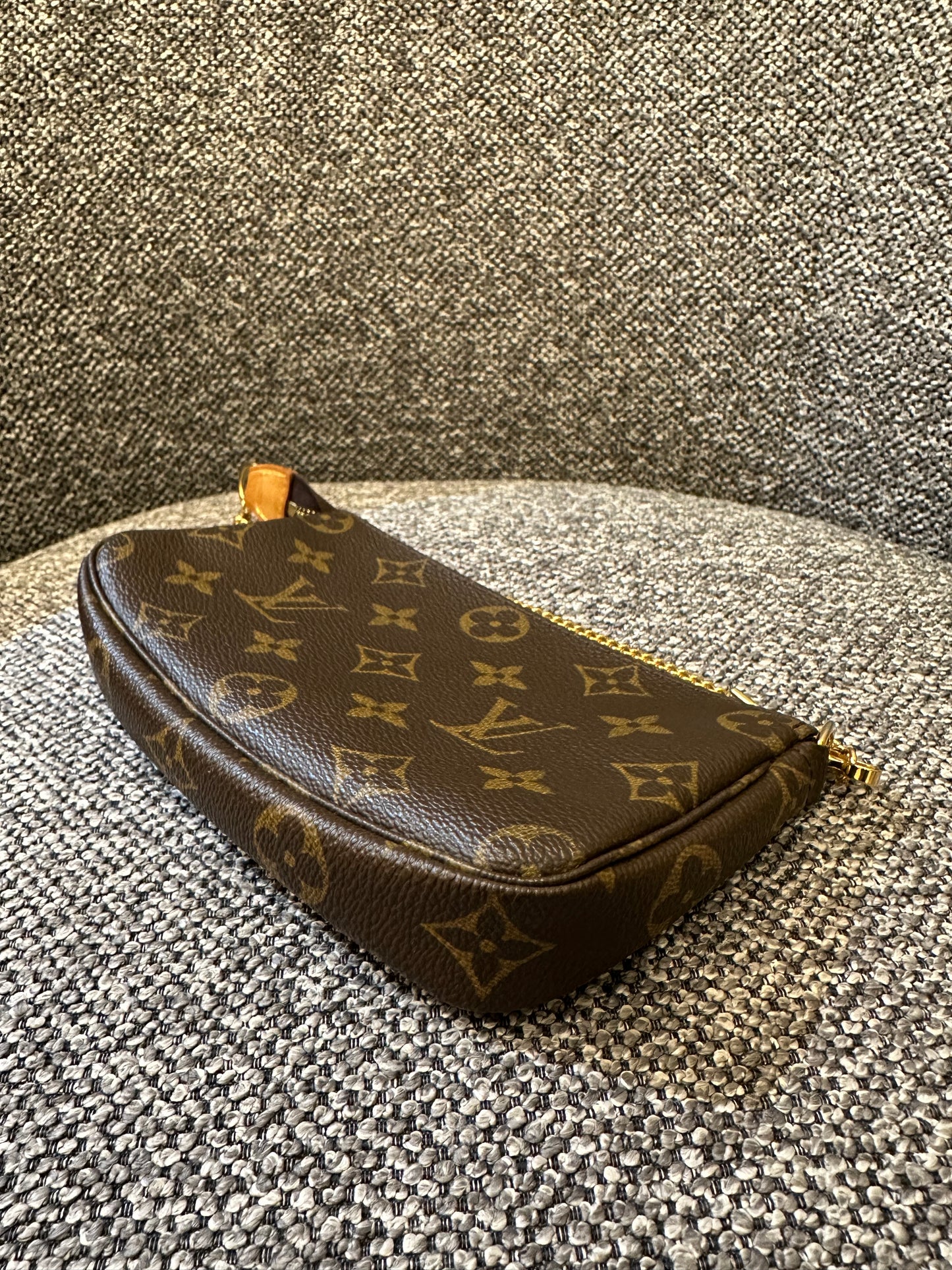 Louis Vuitton Pochette Accessoires in Monogram Canvas